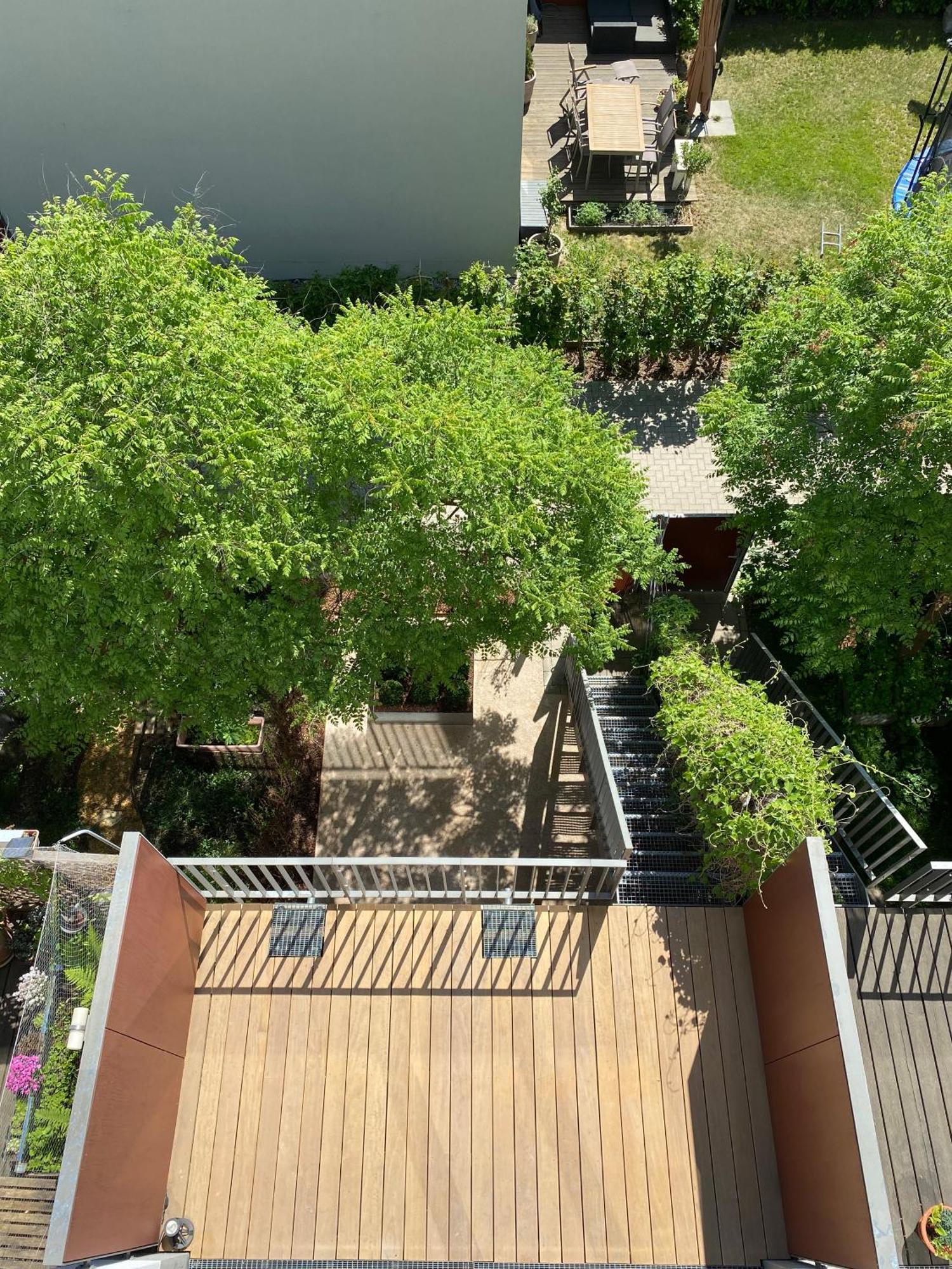 Townhouse Alaunpark Βίλα Δρέσδη Εξωτερικό φωτογραφία